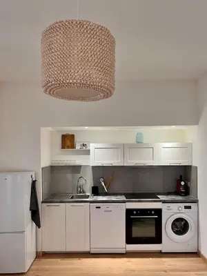 a kitchen with a sink and a dishwasher at Village centre appartement in Calenzana