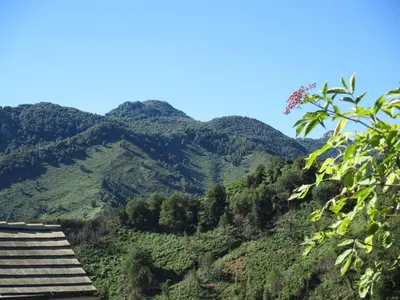 a view of the mountains from the top at Apartment Sole e Ventu 70qm by Interhome in San-Giovanni-di-Moriani