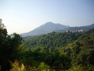 a mountain in the distance with trees in the foreground at Apartment Sole e Ventu 70qm by Interhome in San-Giovanni-di-Moriani