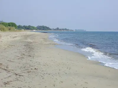 a sandy beach with water and trees in the background at Apartment Sole e Ventu 30qm by Interhome in San-Giovanni-di-Moriani