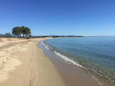 a beach with two trees in the distance at Holiday Home Weingut Punta della Guardia Ruhig und beschaulich by Interhome in Cervione