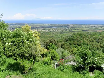a view of the ocean from a hill with trees at Holiday Home Weingut Punta della guardia zwischen Meer und Gebirge by Interhome in Cervione