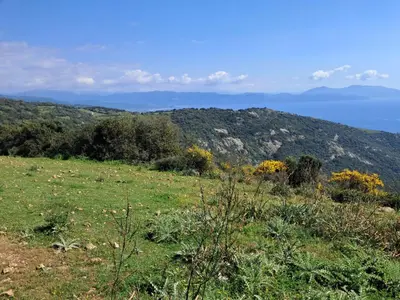 a field of grass with mountains in the background at Holiday Home Casa zinu mit Blick aufs Meer by Interhome in Cargèse