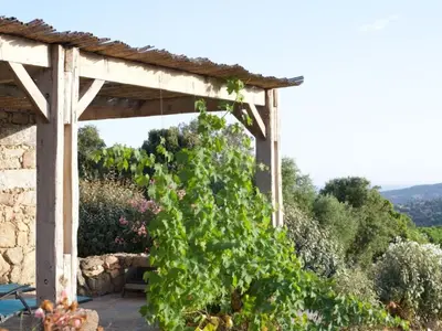 a wooden pergola with a large green plant at Holiday Home in idyllischer Lage im Süden Korsikas by Interhome in Serra-di-Ferro