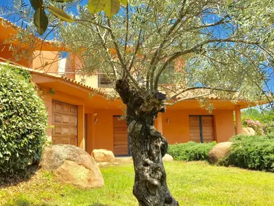 a tree in front of a house at Holiday Home Villa Santa Giulia in Porto-Vecchio by Interhome in Porto-Vecchio