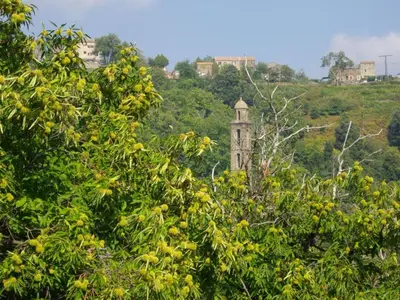 an old building in the middle of a hill with trees at Apartment Sole e Ventu 50qm by Interhome in San-Giovanni-di-Moriani
