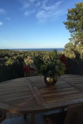 a vase of flowers sitting on a wooden table at Holiday Home Villa Belle Vue- direkt am Meer- 1-2 Haustiere erlaubt by Interhome in Cervione