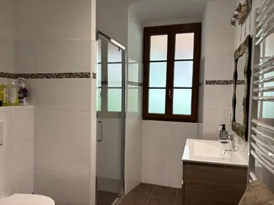 a bathroom with a shower and a sink and a toilet at Maison de caractère CASA LECA, piscine privée chauffée in Feliceto