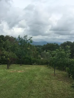 a field of grass with trees and a cloudy sky at Maison in Linguizzetta