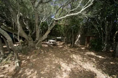 a kitchen and a dining room with a table at Charmante Bergerie à Bonifacio in Bonifacio
