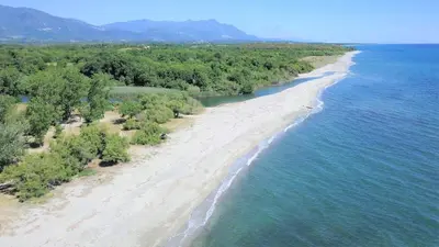 an aerial view of a beach with trees and water at Residence Sognu di Mare in Linguizzetta