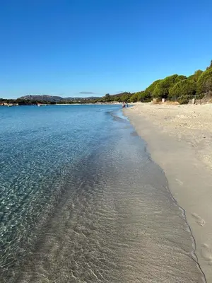 a beach with the shoreline on a clear day at Casa di Piero e Anna in Porto-Vecchio