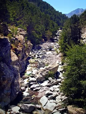 a stream of rocks and trees on a mountain at Casa di a Volpe in Corte