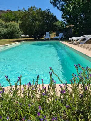 a swimming pool with blue water and purple flowers at U ghjosu rossu, Maison indépendante, bien située in Appietto