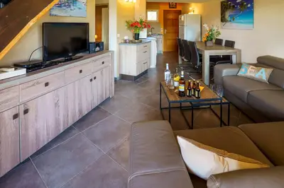 a living room with a couch and a flat screen tv at A nostra casetta corsa, Carina, en bord de mer in Ghisonaccia