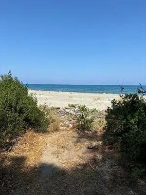 a beach with bushes and the ocean in the background at L'appartement Vinosa in Aléria