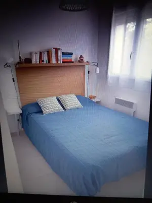 a bedroom with a blue bed with two pillows at T3 bord de mer corse N 138 in Linguizzetta