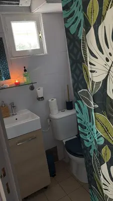 a bathroom with a toilet and a sink and a window at A casa Patricia in Sari Solenzara
