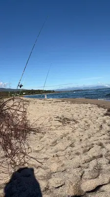 a shadow of a person on a beach at A casa Patricia in Sari Solenzara