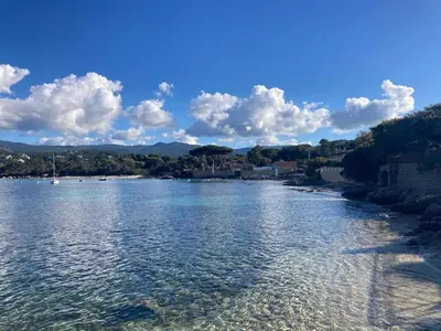 a tree sitting on top of a rocky island in the water at Charmante Maison Vue mer Panoramique à Coti-Chiavari in Vaccili