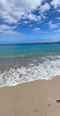 an aerial view of a beach and the ocean at Mini-Villa Nacres - Vue mer - clim- Wi-fi -Favone in Conca