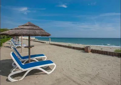 a row of chairs and an umbrella on the beach at Appartement en bord de mer in San-Nicolao