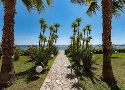 a pathway lined with palm trees next to the ocean at Appartement en bord de mer in San-Nicolao