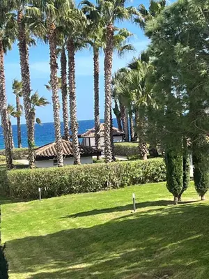 a view of a park with palm trees and the ocean at Appartement en bord de mer in San-Nicolao