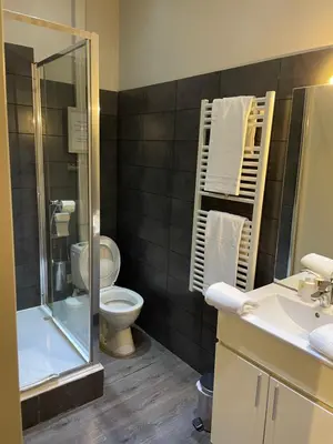 a bathroom with a toilet and a sink and a shower at Chambre Le Chevalblanc
