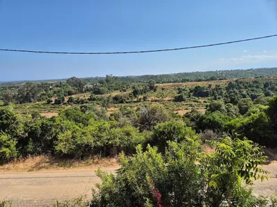a view of a hill with trees and a road at Peaceful 3-room apartment, refurbished and air-conditioned in Linguizzetta