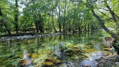 a river with trees and rocks in the water at Chambres de charme - 2 chambres indépendantes avec salles de bains privatives in Corte