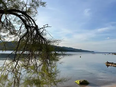 a body of water with a tree in the foreground at Mini-villa Lisa 30 Résidence avec piscine Accès plage à pied in Sari Solenzara