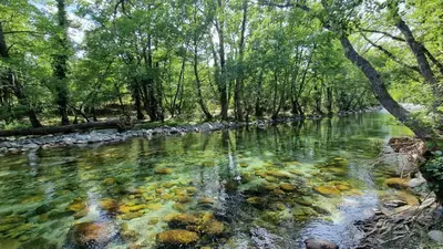 a river with trees and rocks in the water at Chambres de charme in Corte