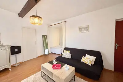 a living room with a black couch and a table at Studio centre-ville rue fesch Ajaccio in Ajaccio