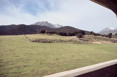 a field of grass with mountains in the background at La ferme in Moltifao