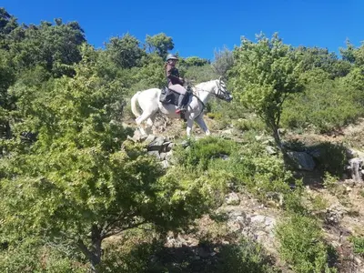 a person riding a white horse on a hill at La ferme in Moltifao