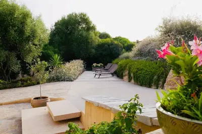 a row of benches in a garden with flowers at Charmante villa dans un petit coin de Paradis in Propriano