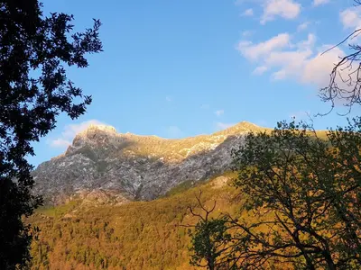 a mountain in the distance with trees in the foreground at Casa Lisandru