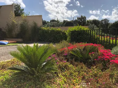 a garden with pink flowers and plants at A Murella - maison de vacances à Oletta en Corse in Oletta