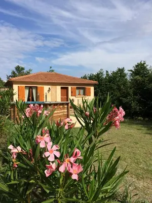 a house with a bush with pink flowers in front of it at Maison avec piscine sans voisinage à 4km de la mer in Canale-di-Verde