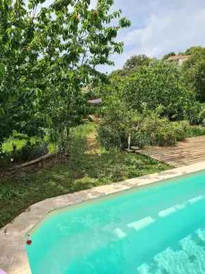 a blue swimming pool in a yard with trees at Casa Di Legnu -T2 - Calme et bien situé in Appietto