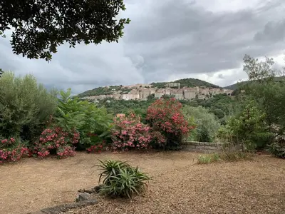 a view of a town on a hill with flowers at Sartene - Corse du sud ouest in Sartène