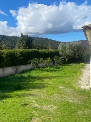 a view of a yard with grass and bushes at Villa proche de St Florent Corse in Oletta