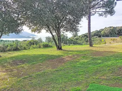 a group of trees in a field with a goal at Holiday Home Chalet Terra Tramandera by Interhome in Calcatoggio