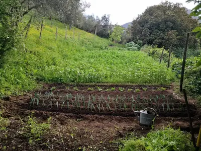 a garden with a bunch of plants in a field at Casa Una Storia in Sartène