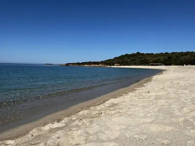 a sandy beach with water and trees in the background at Holiday Home Haus in der Nähe von Meer und Bergen- atemberaubende Aussicht- by Interhome in Calcatoggio