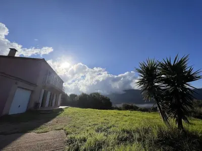 a palm tree in a field next to a building at Holiday Home Haus in der Nähe von Meer und Bergen- atemberaubende Aussicht- by Interhome in Calcatoggio