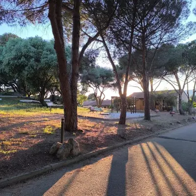 a shadow of a tree on the side of a road at Appartement Duplex 6 personnes - Soléa 204 - Vue Mer in Serra-di-Ferro
