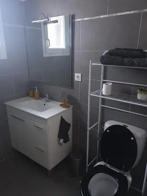 a bathroom with a toilet and a sink and a mirror at Studio récent Corte in Corte