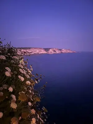 a view of the ocean with a bunch of flowers at Fleur de Falaise in Bonifacio